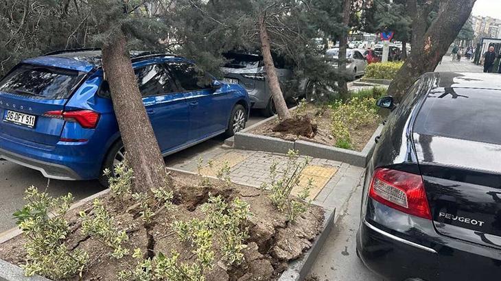 Ankara'yı fırtına vurdu: Ağaçlar devrildi, araçlar zarar gördü
