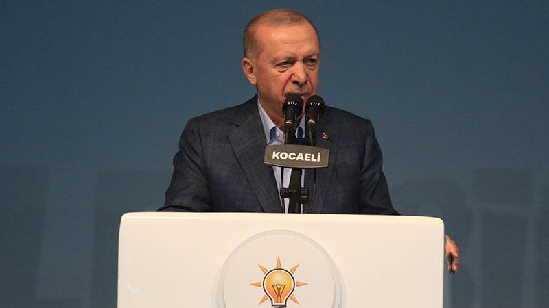 Cumhurbaşkanı Erdoğan: Artık annelerin yüreğine ateş düşmesin diyoruz