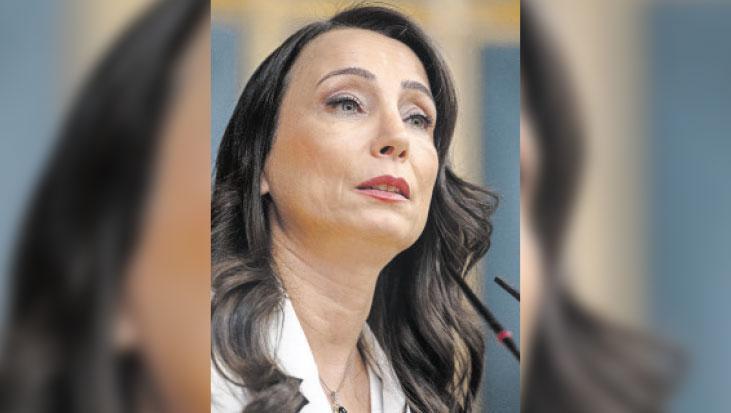 DEM’den ‘çerçeve yasa’ çağrısı
