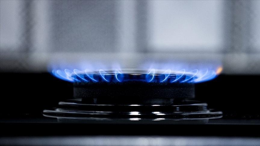 Doğal gaz ithalatı martta arttı