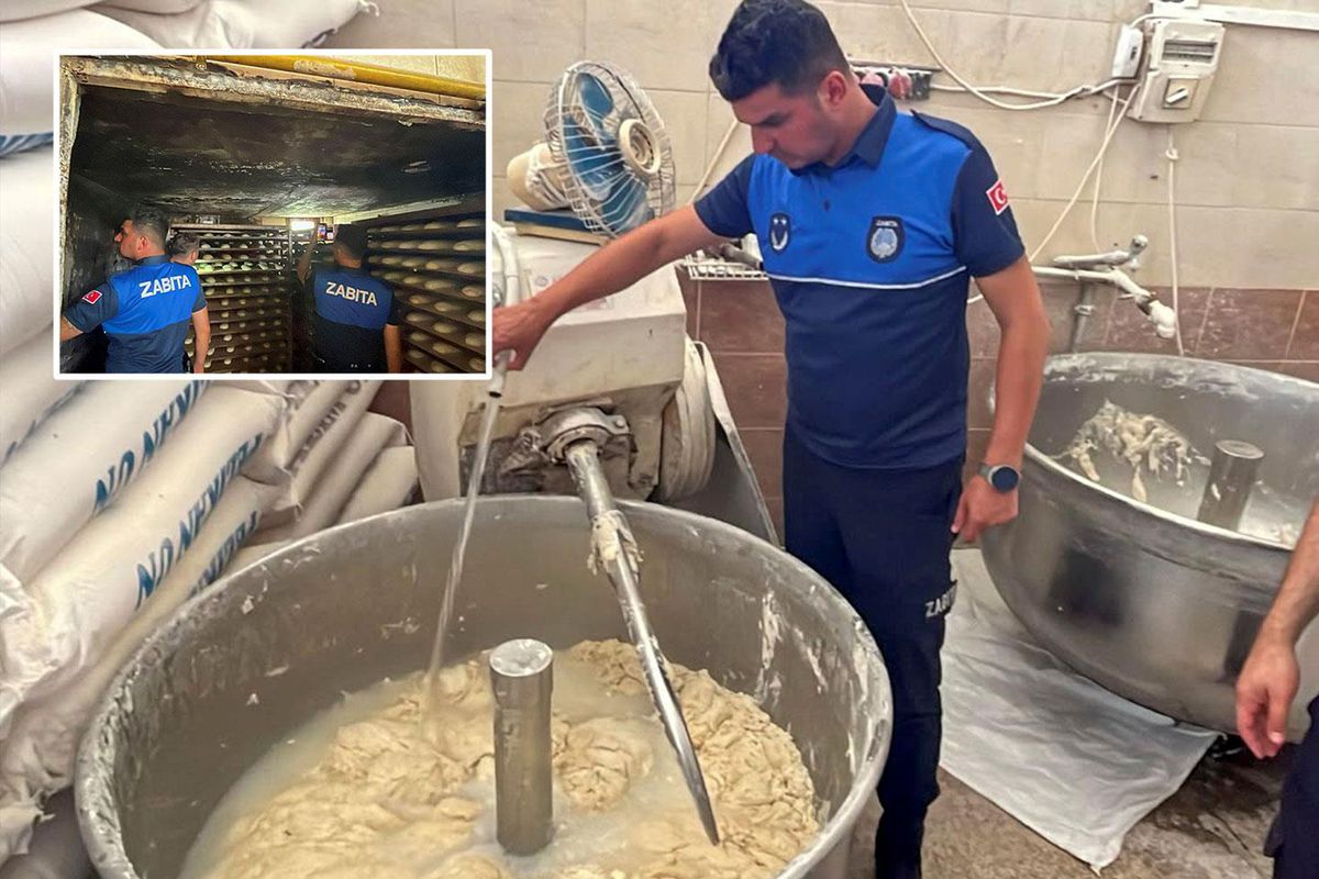 Fırında mide bulandıran manzara: 17 ayrı ceza kesildi