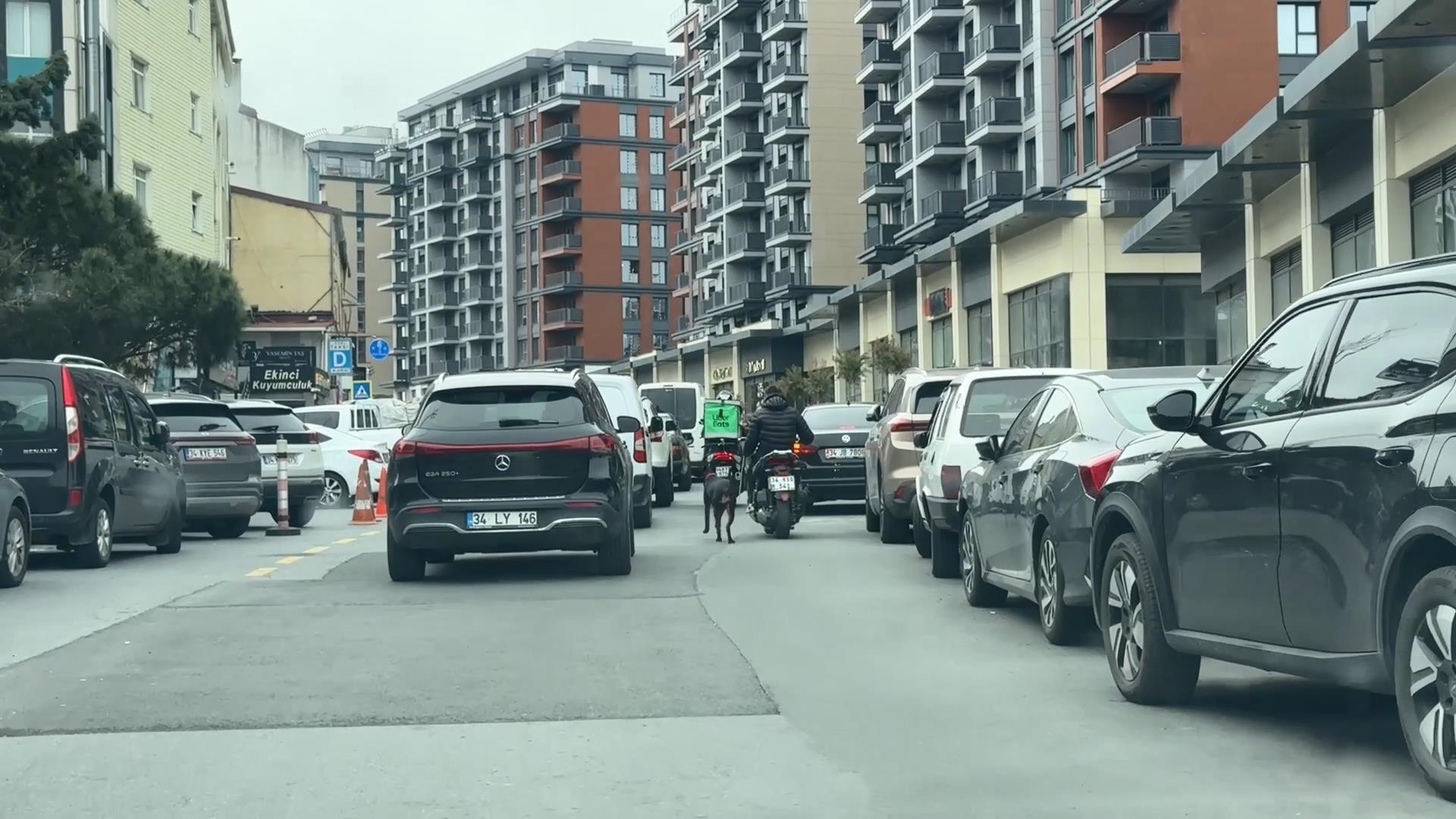 İstanbul'da dehşete düşüren görüntü! Motosiklete bağladığı köpeği metrelerce koşturdu