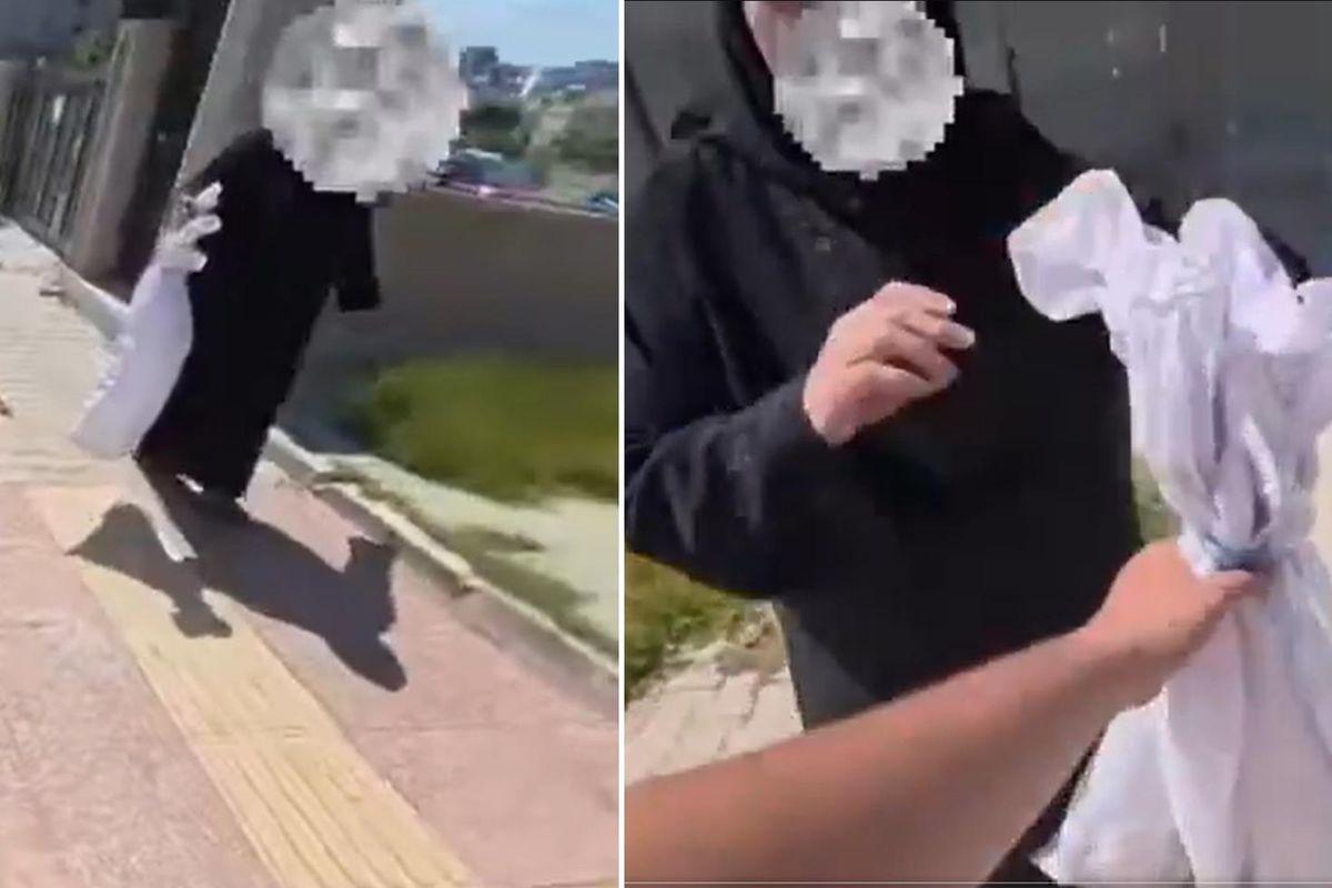 Mersin'de vicdanları yaralayan görüntü: Kediyi çuvala koyup atmaya kalktı