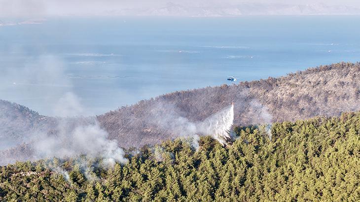 Muğla'da orman yangını: Alevler lüks villa ve otellerin bulunduğu alana yaklaştı