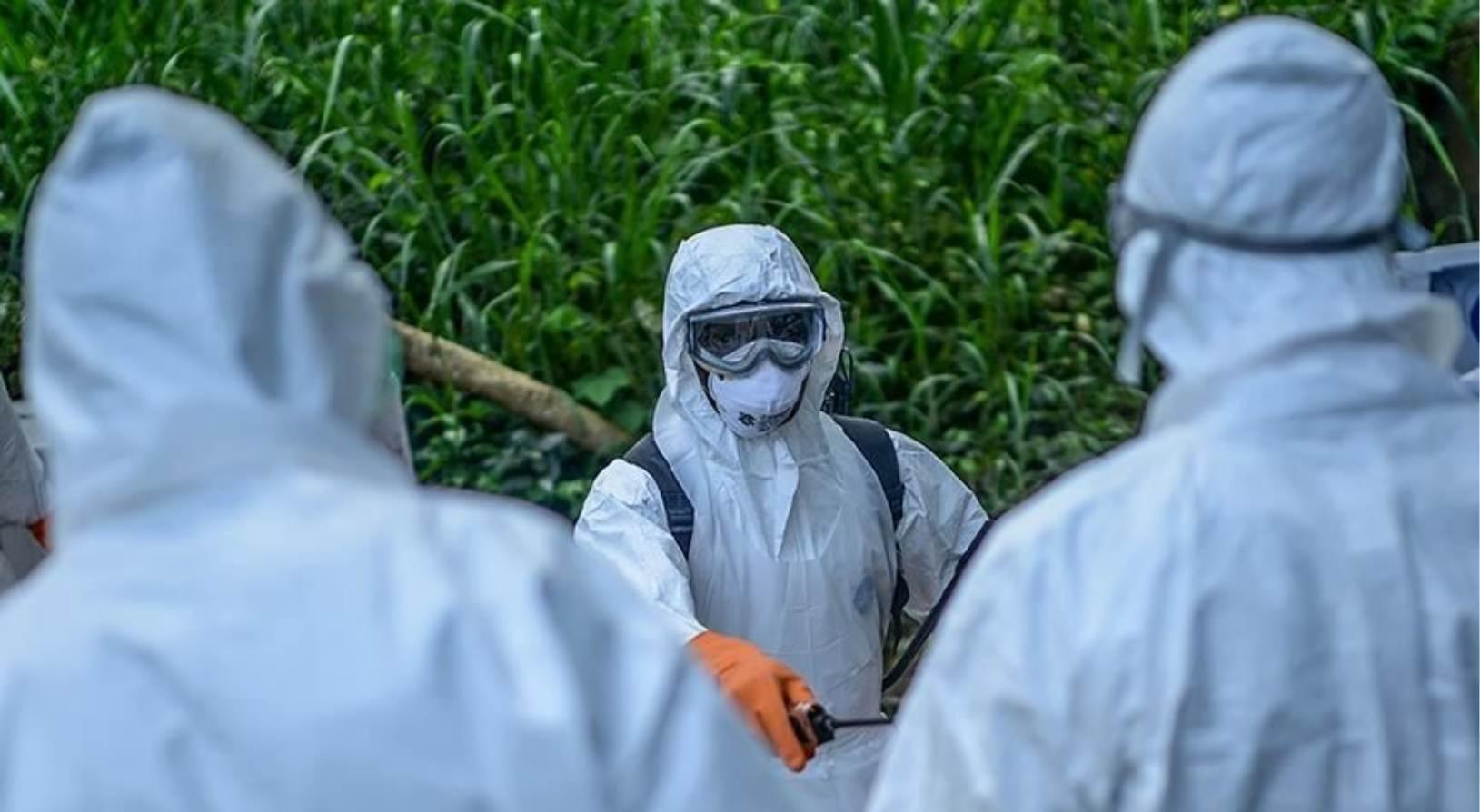 Ölü sayısı 139'a ulaştı, virüs giderek yayılıyor! Ebola krizi büyüyor