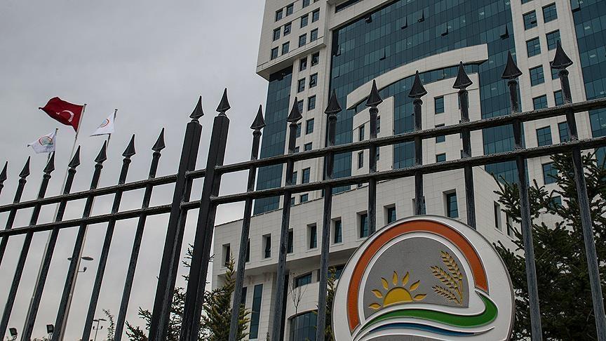 Tarım ve Orman Bakanlığı'ndan yapay et iddialarına ilişkin açıklama: