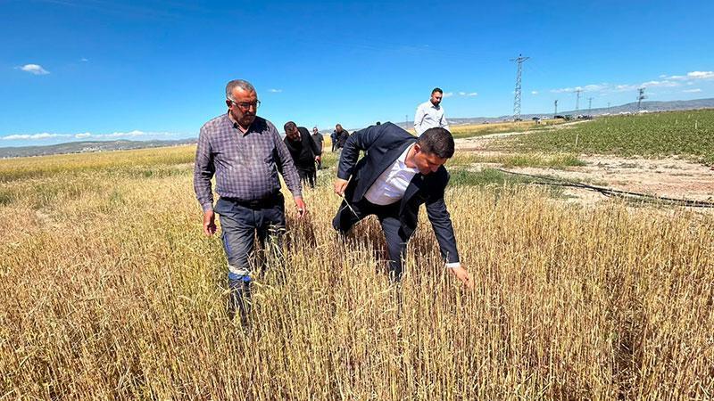Tuz Gölü Ovası’nda doludan zarar gören tarım arazilerinde hasar tespit çalışması başlatılıyor