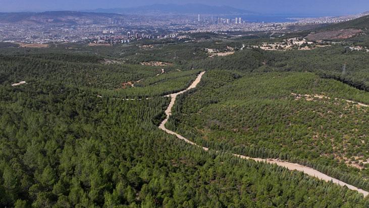 İzmir Valiliği tarih vererek duyurdu! Ormanlık alanlara giriş yasaklandı