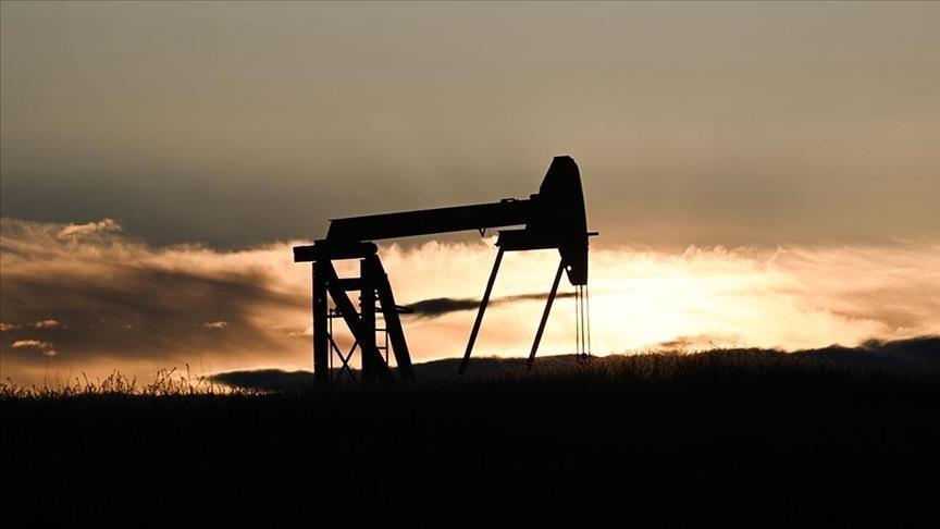 Petrolün varil fiyatı 110 doları geçti