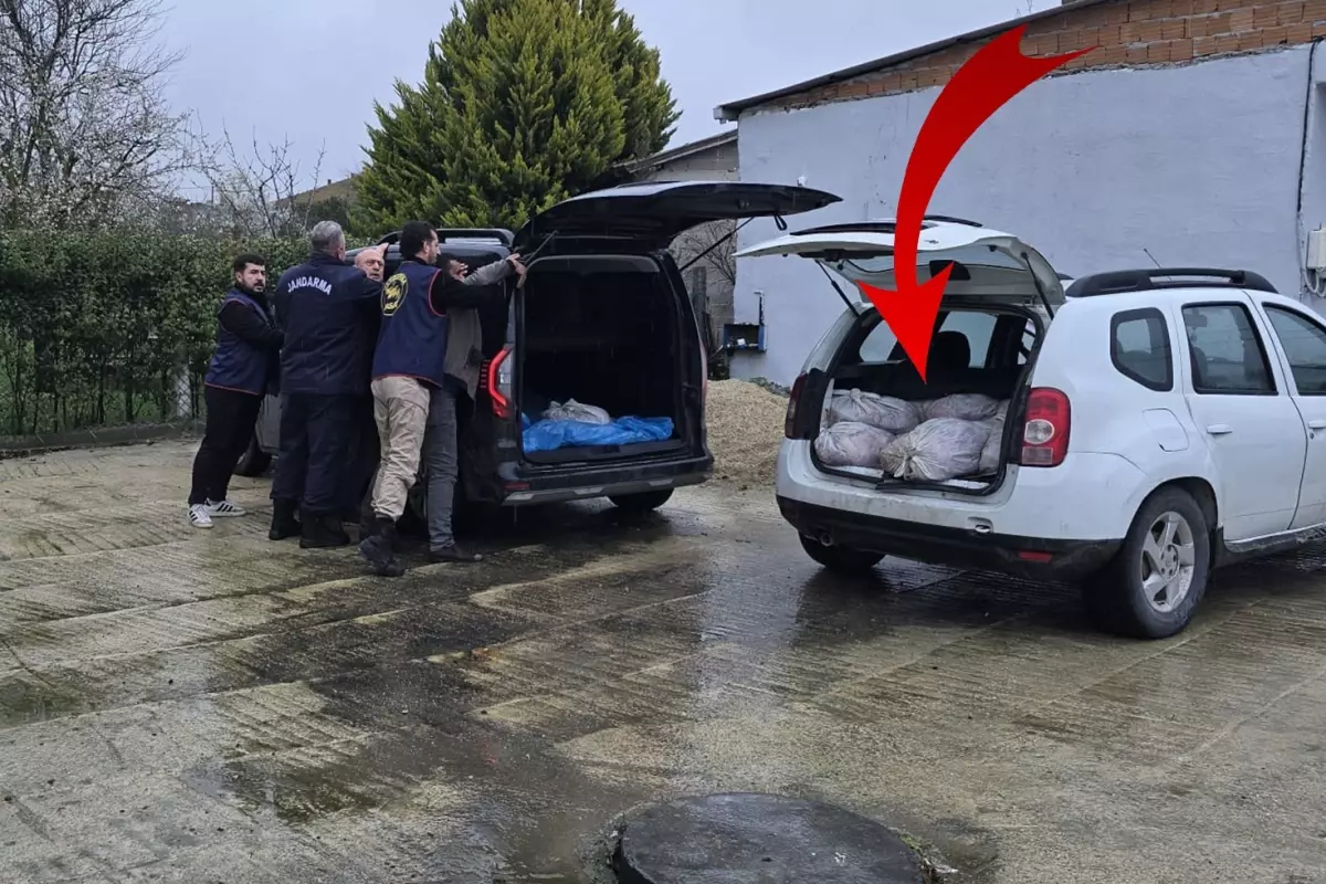 Piyasaya sunulmaya hazır 306 kilo at eti Silivri'de ele geçirildi